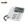 AASTRA Dialog 4425 IP
hellgrau, refurbished
DBC 425 02/01001