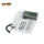 Aastra Dialog 4425 IP Vision V2
DBC 425 02/01001
Hellgrau