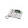 Aastra DeTeWe OpenPhone 63 Systemtelefon, weiss
Refurbished